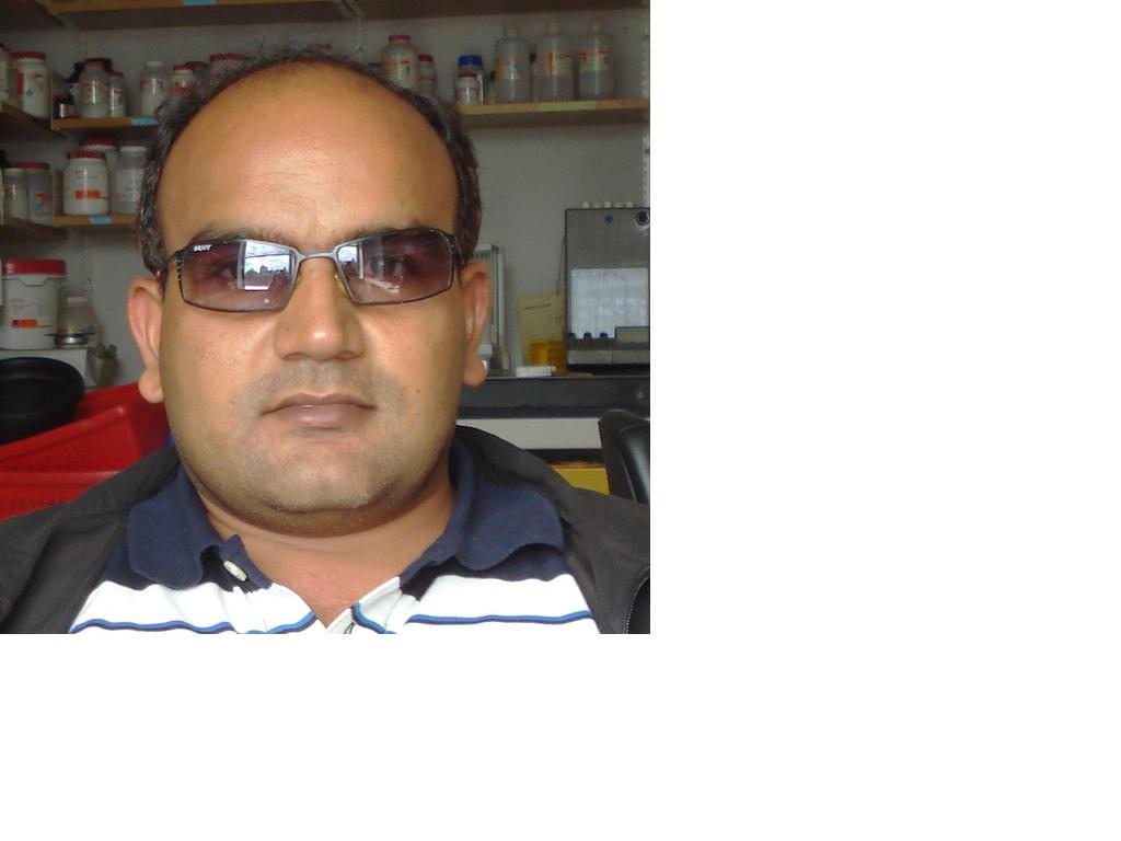 literary research paper on trifles literary research paper on trifles